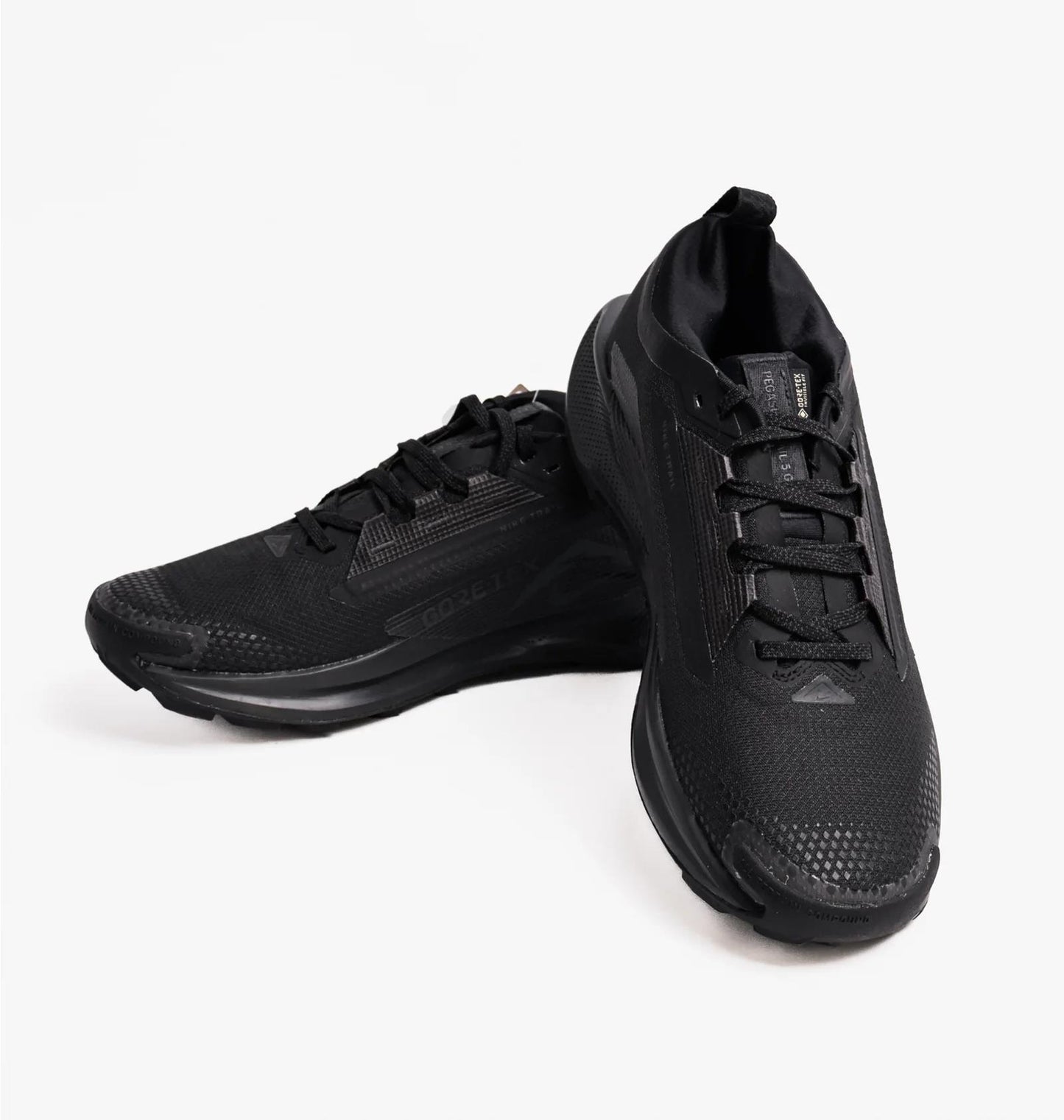 Кросівки для бігу чоловічі Nike Pegasus Trail 5 Gtx (FQ0908-002)