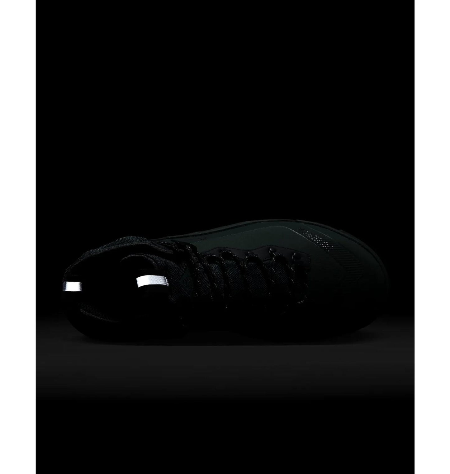 Черевики чоловічі Nike Acg Air Zoom Gaiadome Gore-Tex (DD2858-300)