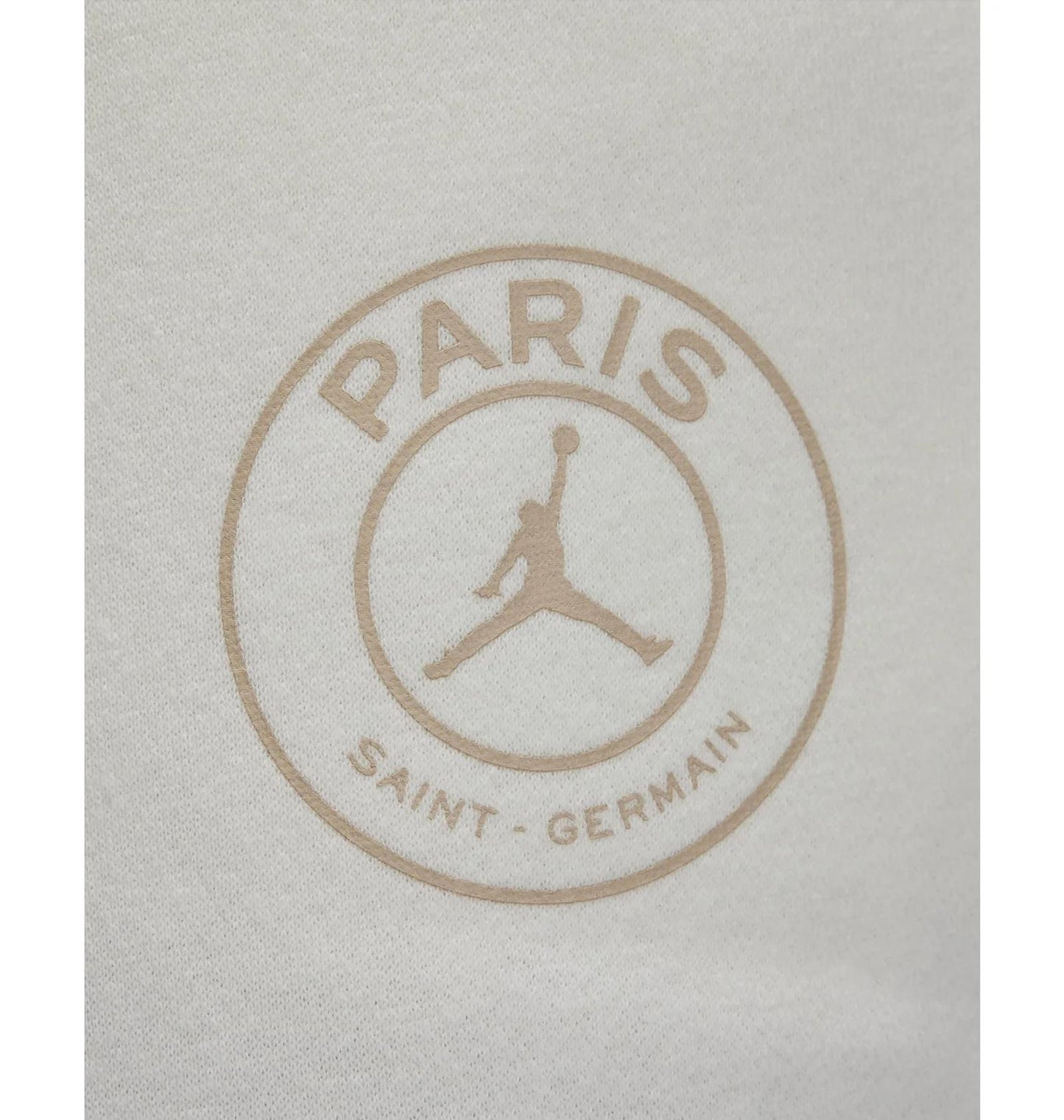 Брюки чоловічі Jordan Paris Saint-Germain (DZ2949-133)