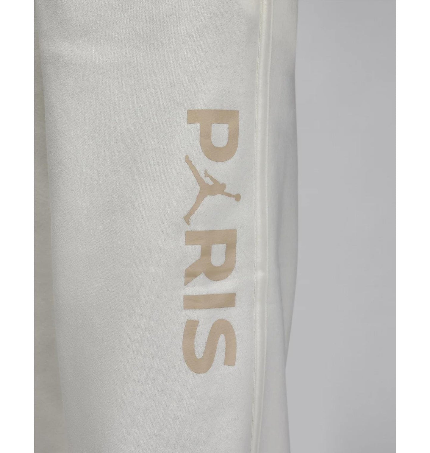 Брюки чоловічі Jordan Paris Saint-Germain (DZ2949-133)