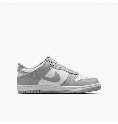 Кросівки жіночі Nike Dunk Low Gs (FB9109-123)