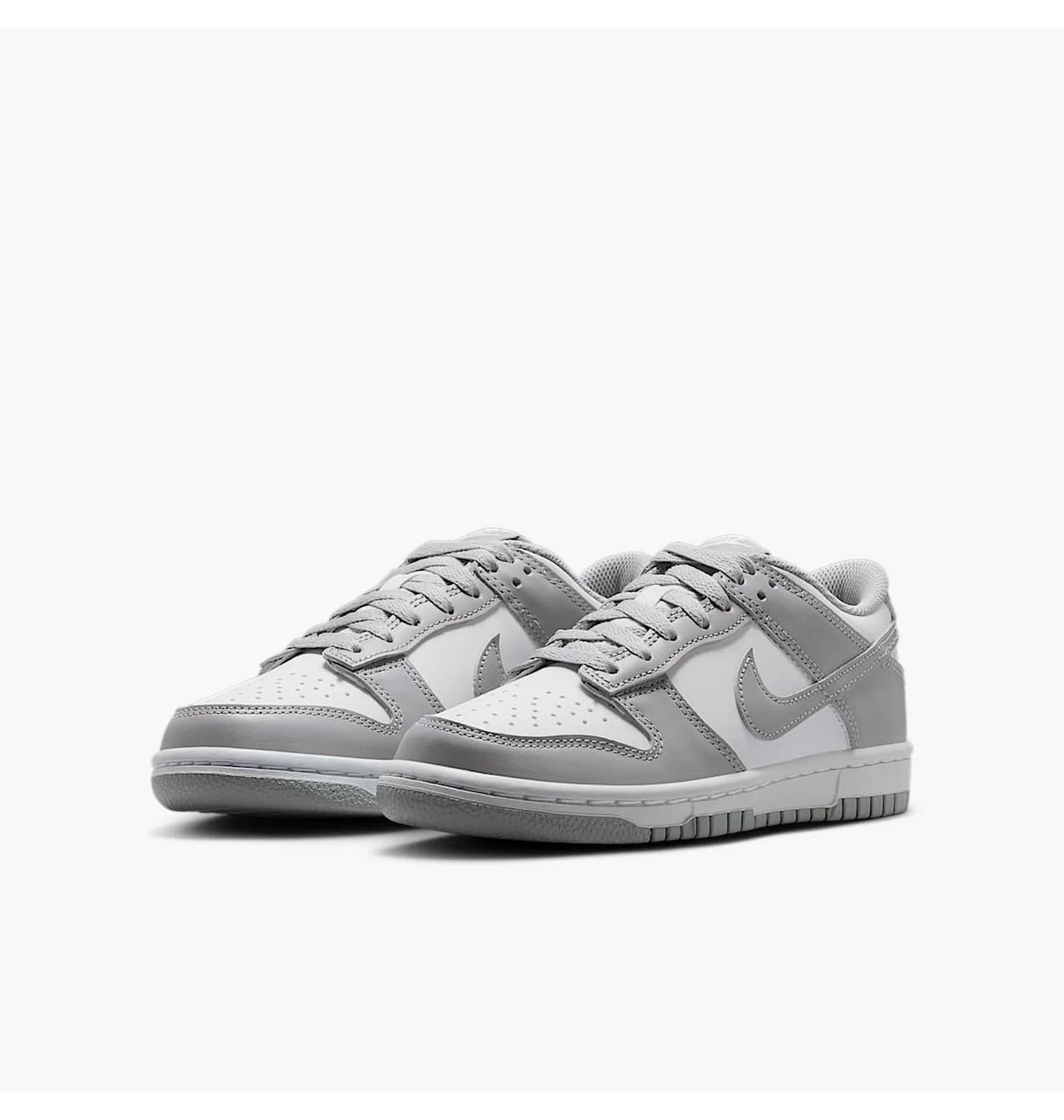Кросівки жіночі Nike Dunk Low Gs (FB9109-123)