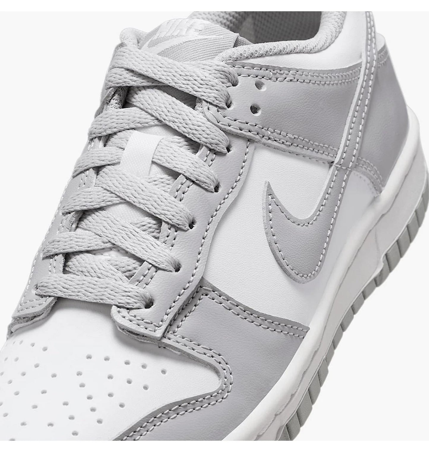 Кросівки жіночі Nike Dunk Low Gs (FB9109-123)