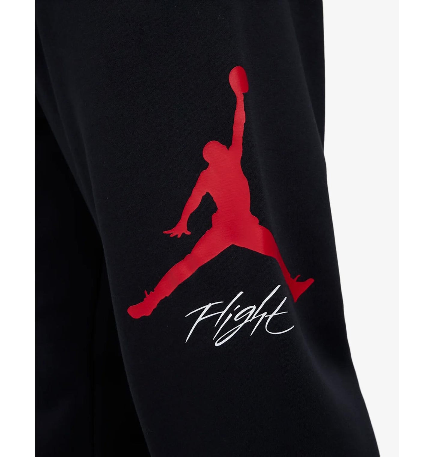 Брюки чоловічі Jordan Essential Fleece Baseline (FD7345-013)