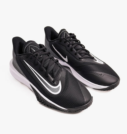 Кросівки чоловічі Nike Precision Vii (FN4322-005)