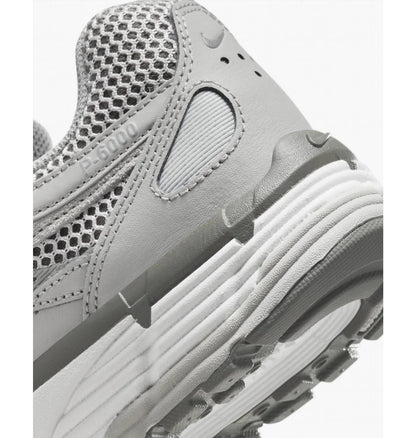 Кросівки чоловічі Nike P-6000 Premium (FN6837-012)