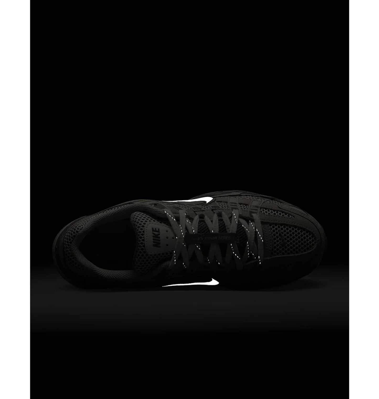 Кросівки чоловічі Nike P-6000 Premium (FN6837-012)