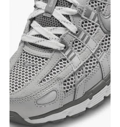 Кросівки чоловічі Nike P-6000 Premium (FN6837-012)