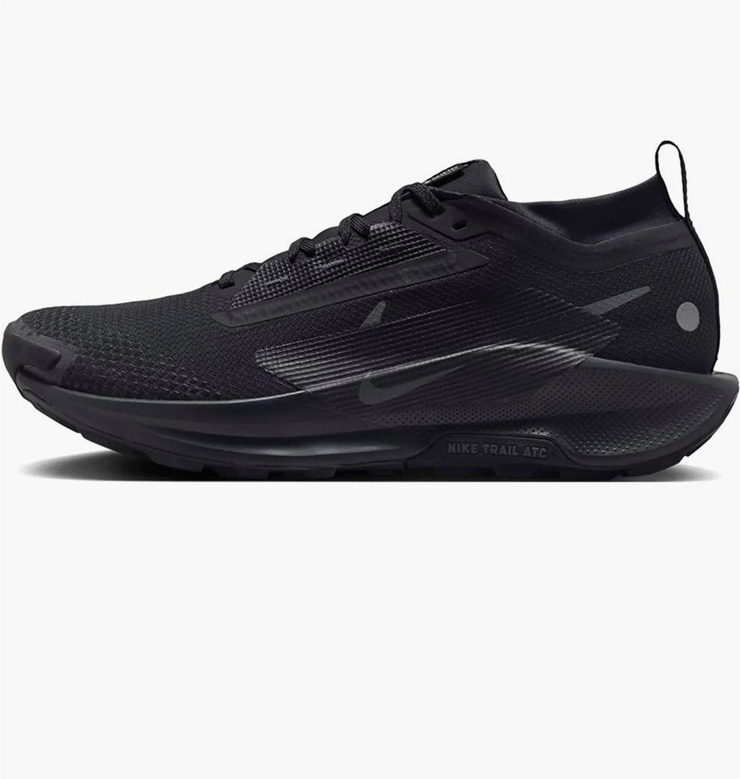 Кросівки для бігу чоловічі Nike Pegasus Trail 5 Gtx (FQ0908-002)