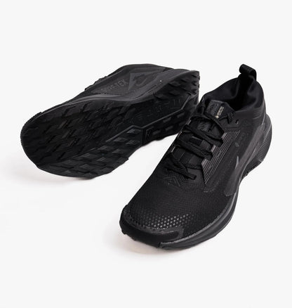 Кросівки для бігу чоловічі Nike Pegasus Trail 5 Gtx (FQ0908-002)