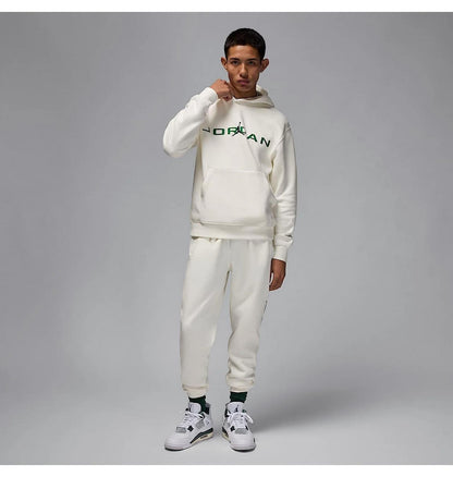 Кофта чоловіча Jordan M J Ess Jd Air (HQ4643-133)