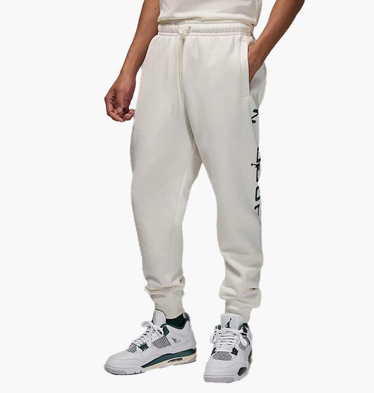 Брюки чоловічі Jordan MJ Ess Jd Air (HQ4645-133)