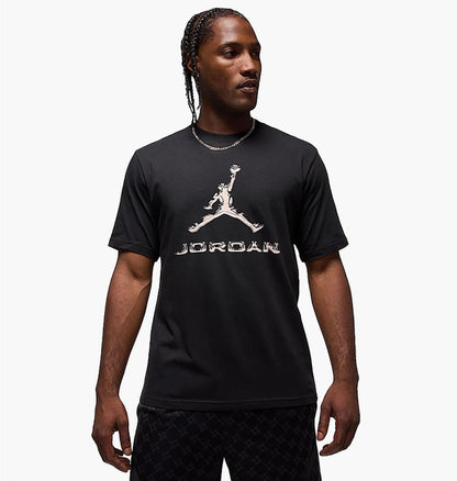 Футболка чоловіча Jordan Dri-Fit (HQ9091-010)