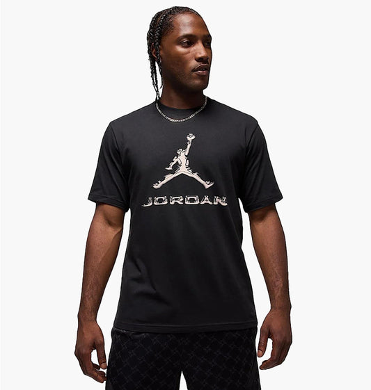Футболка чоловіча Jordan Dri-Fit (HQ9091-010)