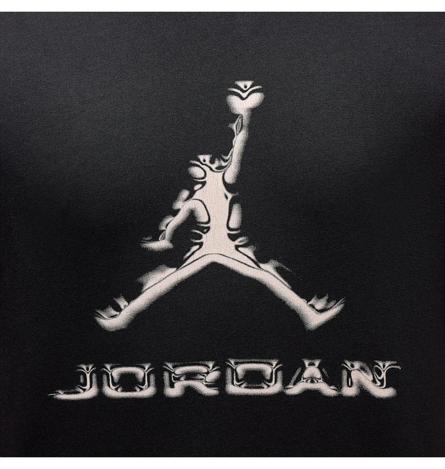 Футболка чоловіча Jordan Dri-Fit (HQ9091-010)