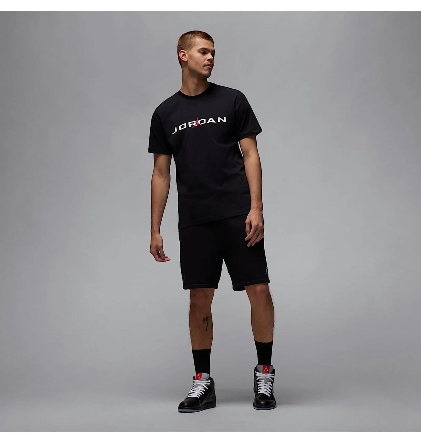 Футболка чоловіча Jordan Air T-Shirt (IB7353-010)
